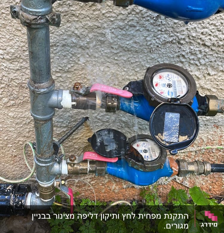 מד מים כחול עם ברזים וצינורות מתכת